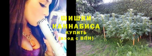 дурь Балахна