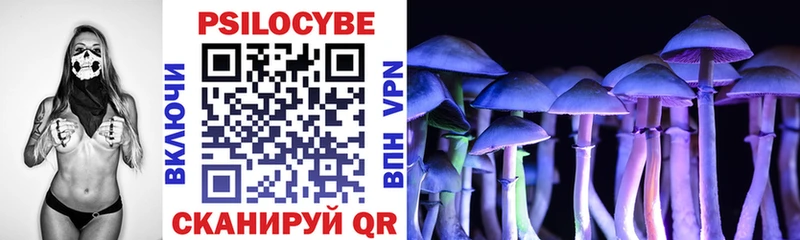 где можно купить   Гаврилов Посад  Галлюциногенные грибы MAGIC MUSHROOMS 